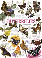 Cobble Hill puzzel Butterfly Collection - 1000 stukjes legpuzzel