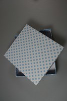 10 Vuldoosjes ruit blauw 72163