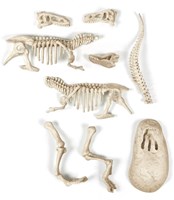 Clementoni archeologie speelgoed T-Rex fluoriserend 7+ educatief-2