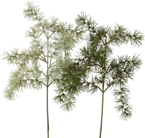 Boltze Home decoratietak pijnboom 62cm - kunsttak groen decoratie
