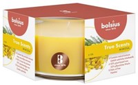 Bolsius Geur stompkaars 50/80 Mimosa