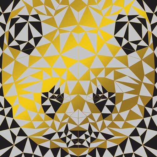 Janod Scratch Art Animetrics - Jouet créatif thème animaux-3
