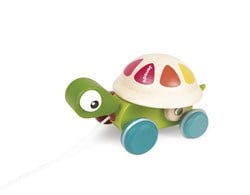 Zigolos Schildpad Om Mee Te Wandelen
