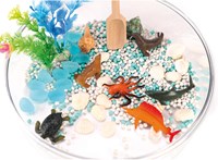 Eduplay jouet sensoriel Sensory Box Sea - jeu éducatif pour enfants-3