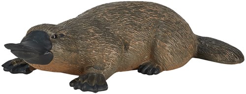 Mojo Jouet de la faune Platypus - 387106