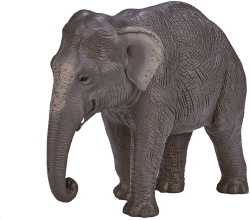 Mojo Jouet Wildlife Éléphant Asiatique - 387266