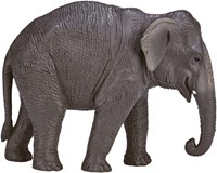 Mojo Jouet Wildlife Éléphant Asiatique - 387266-3