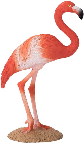 Mojo Jouet Wildlife Flamant Américain - 387134
