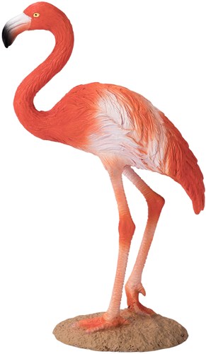 Mojo Jouet Wildlife Flamant Américain - 387134-3