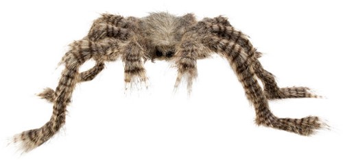 Araignée poilue 74408