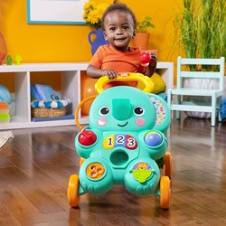 Bright Starts loopwagen 2-in-1 Ballen Speelgoed - Stroll n Roll