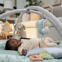 Plush Play Gym