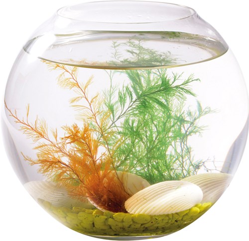 Eduplay magische schelp speelgoed - kleurrijke zee schat-2