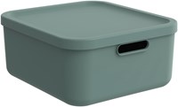 Rotho opbergbox decoratie Albula Light 20 L stapelbaar groen