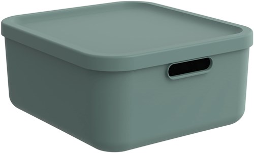 Rotho opbergbox decoratie Albula Light 20 L stapelbaar groen