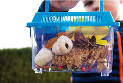 Eduplay insectenbox - educatief speelgoed voor jonge onderzoekers-3