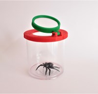 Eduplay boîte loupe - grande boîte à insectes pour enfants explorateurs