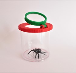Box with magnifying glass, big-sized