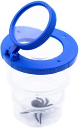 Pull-out Box with magnifying glass blue
