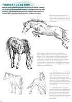 Deltas livre pour apprendre à dessiner des chevaux étape par étape-3