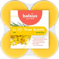 Bolsius geurtheelichten maxi mimosa 8 stuks - lange brandduur