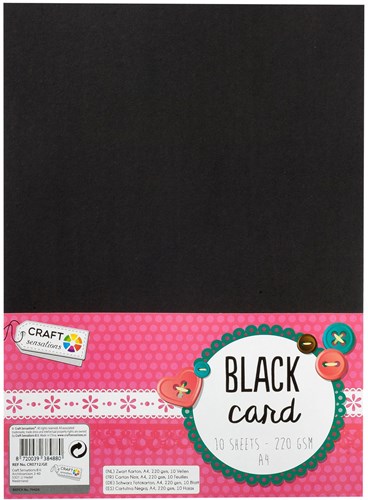 Creative Craft Group hobbykarton zwart A4 10 vellen knutselpapier