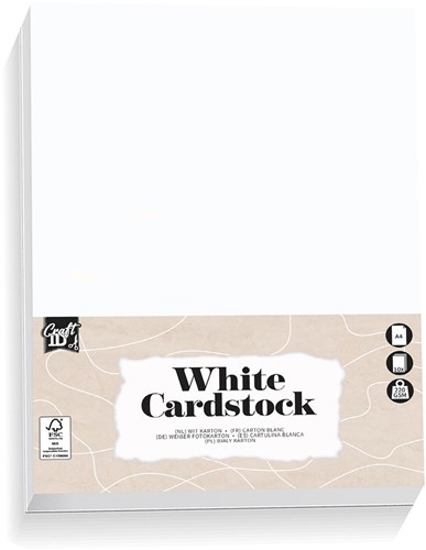 Creative Craft Group carton à bricoler blanc A4 papier créatif 10 feuilles