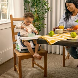 Ingenuity babyzitje 2-in-1 stoelverhoger multicolor - babyzitje vanaf 6 maanden