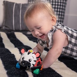 Baby Einstein voiture jouet Curious Car Zen Oball hochet - multicolore
