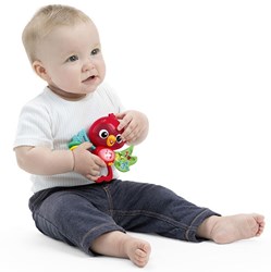 Baby Einstein jouet musical interactif oiseau Roxy avec lumières et sons