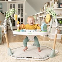 Ingenuity baby speelcenter 6-in-1 mijlpalen activiteitencentrum multicolor