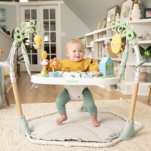 Ingenuity baby speelcenter 6-in-1 mijlpalen activiteitencentrum multicolor