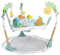 Ingenuity baby speelcenter 6-in-1 mijlpalen activiteitencentrum multicolor-2