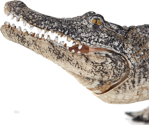 Mojo Wildlife speelgoed Alligator met bewegende kaak - 387168