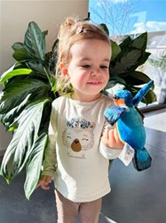 The Puppet Company vingerpop kolibrie - speelfiguur voor kinderen