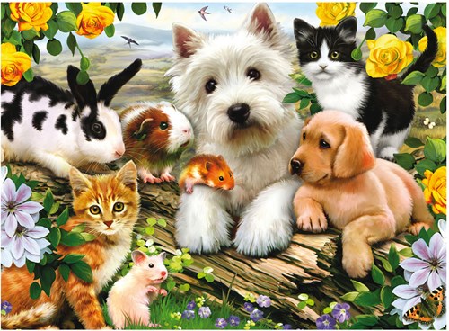 Ravensburger puzzel dieren - Happy Animal Buddies legpuzzel 300 stukjes-2