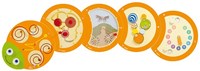 Beleduc wandspel rups houten draaibord educatief speelgoed-2