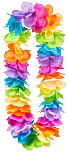 Boland hawaikrans regenboog deluxe XL - bloemenkrans voor feest