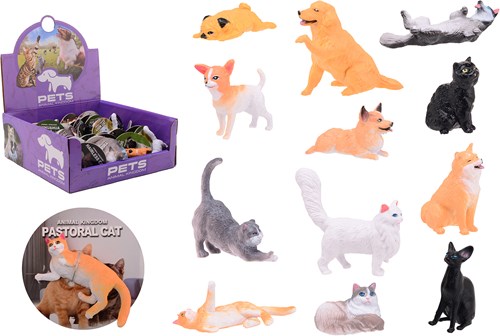 36 dierenwereld huisdieren in disp.26870