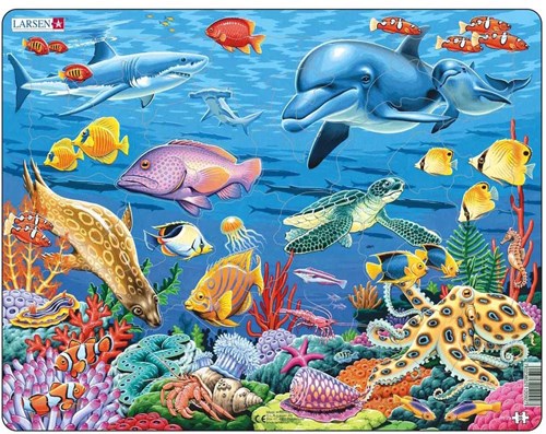Puzzle animaux récif corallien carton 35 pièces jouet éducatif
