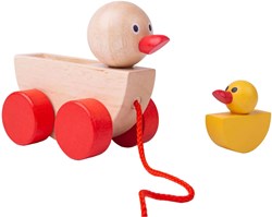 Bigjigs Canard et Caneton