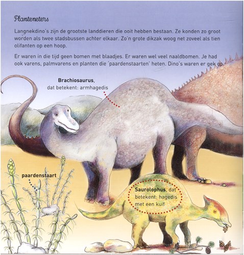 Clavis livre pour enfants dinosaures Willewete - livre illustré éducatif 5+-3