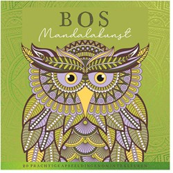 Lantaarn livre de coloriage forêt art mandala pour adultes coloriage détente