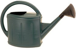 Gieter kunststof tuinaccessoire 11 liter groen met broeskop