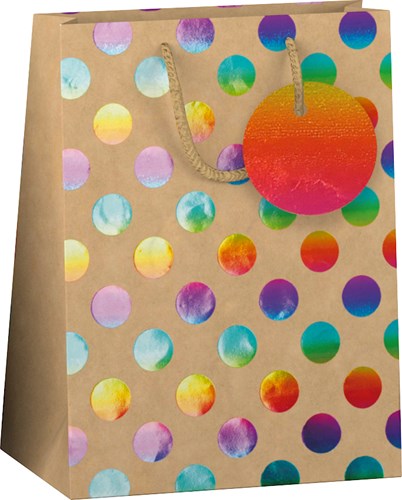 Design Group sac cadeau papier Kraft Rainbow format moyen