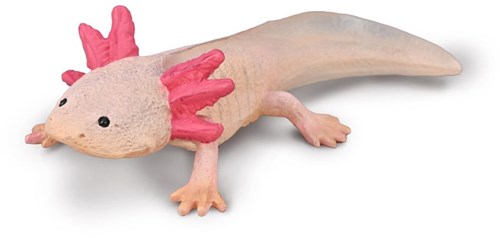 Collecta figurine axolotl jouet - animal en plastique réaliste