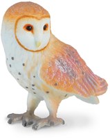 Chouette COLLECTA - (S)-2