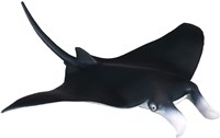 COLLECTA Manta Ray - (M)-2
