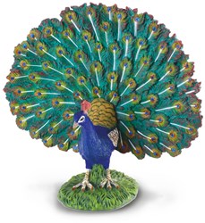 COLLECTA Pauw - (L)