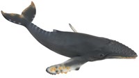 COLLECTA Bultrug Walvis - (XL)-2